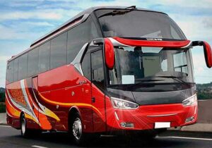 bus pariwisata