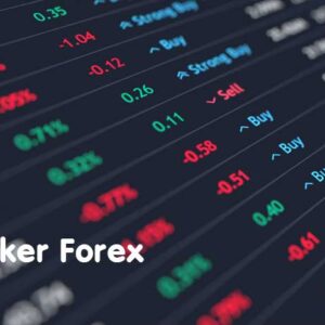 Broker Forex Resmi Untuk Keamanan Bertransaksi