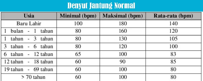 Denyut Jantung Normal 