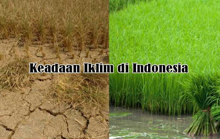 Keadaan Iklim di Indonesia