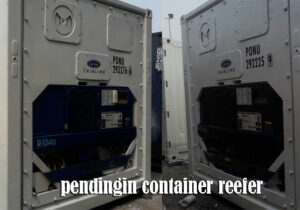 Mesin Pendingin Sewa Container Reefer