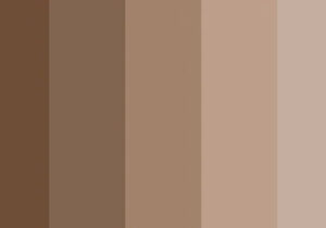 Arti Dan Makna Warna Coklat