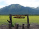 taman nasional baluran