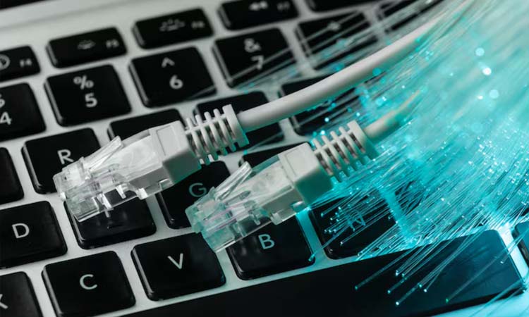 Router Dan Dynamic Router