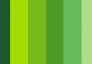 Arti Dan Makna Warna Hijau