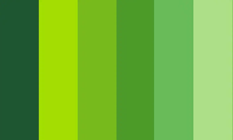 Arti Dan Makna Warna Hijau