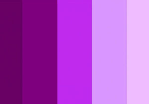 Arti Dan Makna Warna Ungu