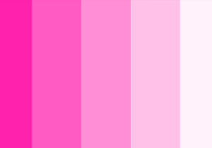 Warna Pink